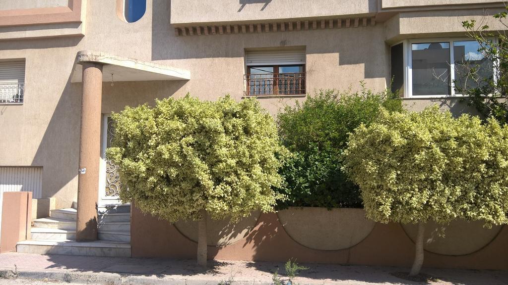 Dar Aloulou Apartment Tunis Ngoại thất bức ảnh
